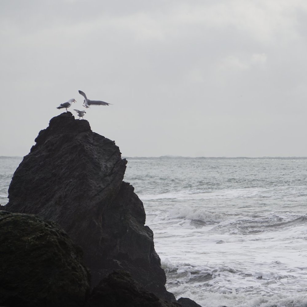 Meet your Posher, Alexandra